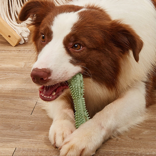 The Power of Play: How Interactive Toys Can Transform Your Dog's Life