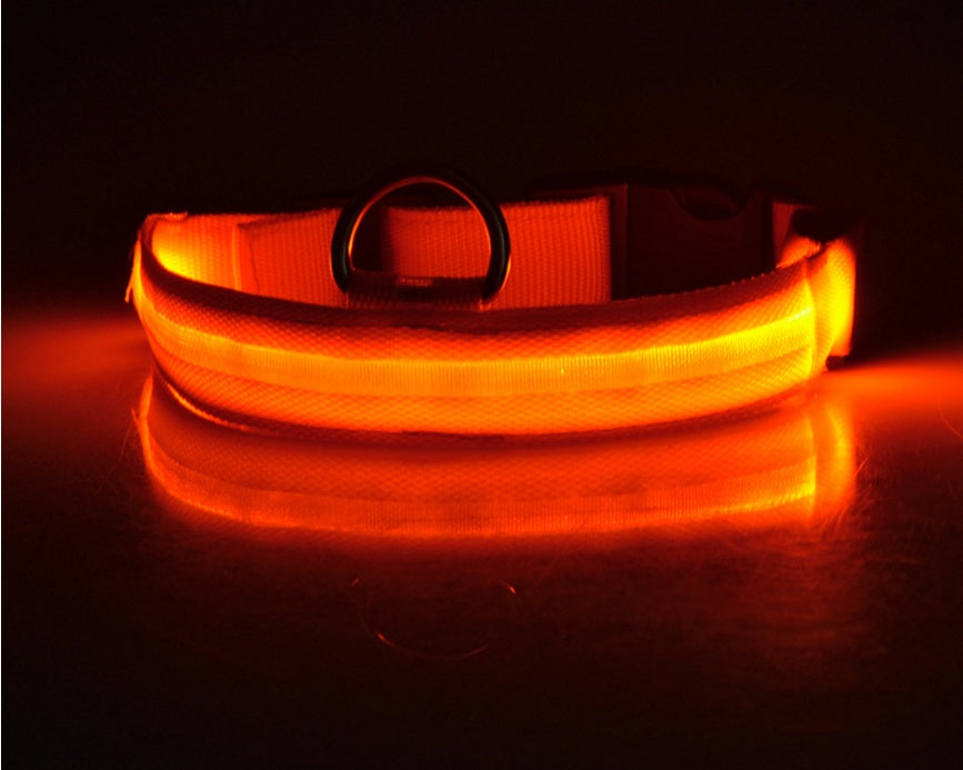 LED Nylon Glow-in-the-Dark Pet Collar – Adjustable, Flashing Night Safety