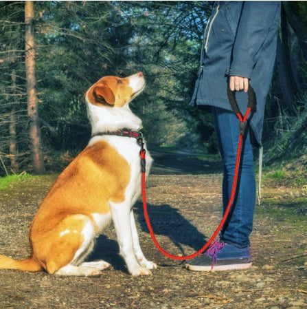 Reflective Nylon Dog Leash – Durable Rope for Small, Medium & Large Dogs, Perfect for Walking & Training