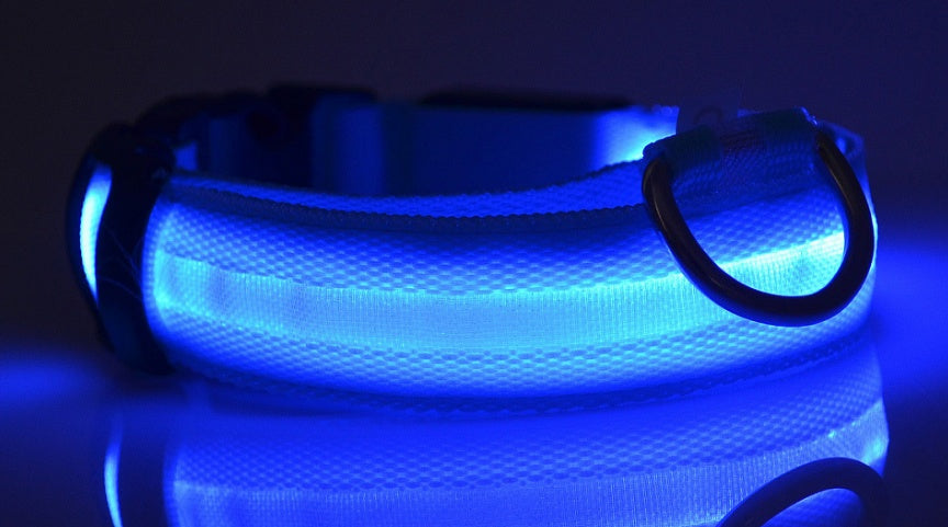 LED Nylon Glow-in-the-Dark Pet Collar – Adjustable, Flashing Night Safety