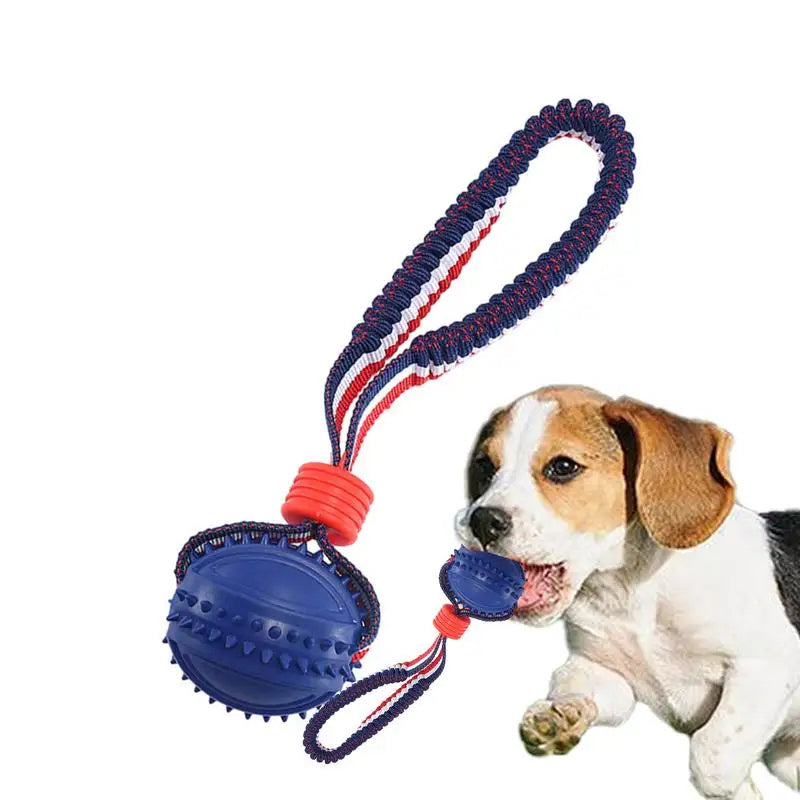 Interactive Dog Toy Ball with Rope