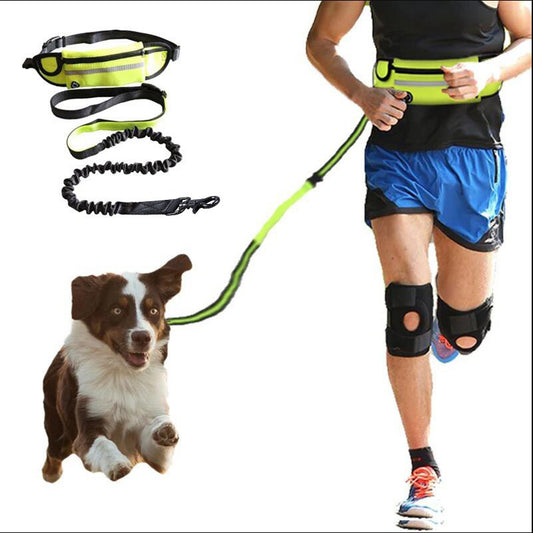 Hands-Free Dog Leash & Training Belt – Shock-Absorbing, Phone Pocket & Water Holder for Large Dogs (Up to 180lbs)