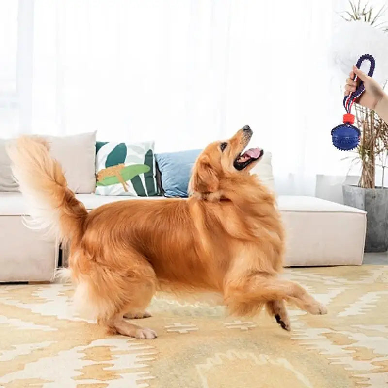 Interactive Dog Toy Ball with Rope